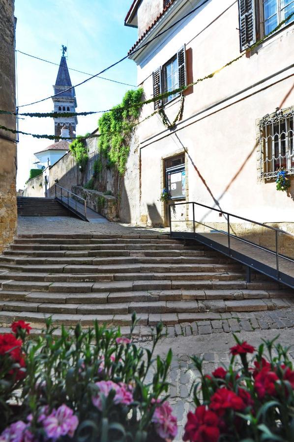 Max Piran Panzió Kültér fotó